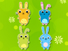 Adorable Bunny Pairs