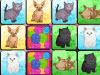 Cats Memo