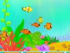 Design Your Aquarium