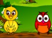 Forest Birds Feeding