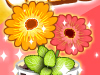 Gourmet Kitchen: pot cake