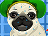 My Pug Petcare and Dressup