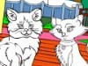 Pet World