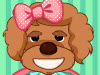 Poodle Contest Makeover