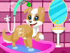 Puppy Spa