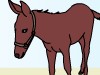 Ranch Cleanup